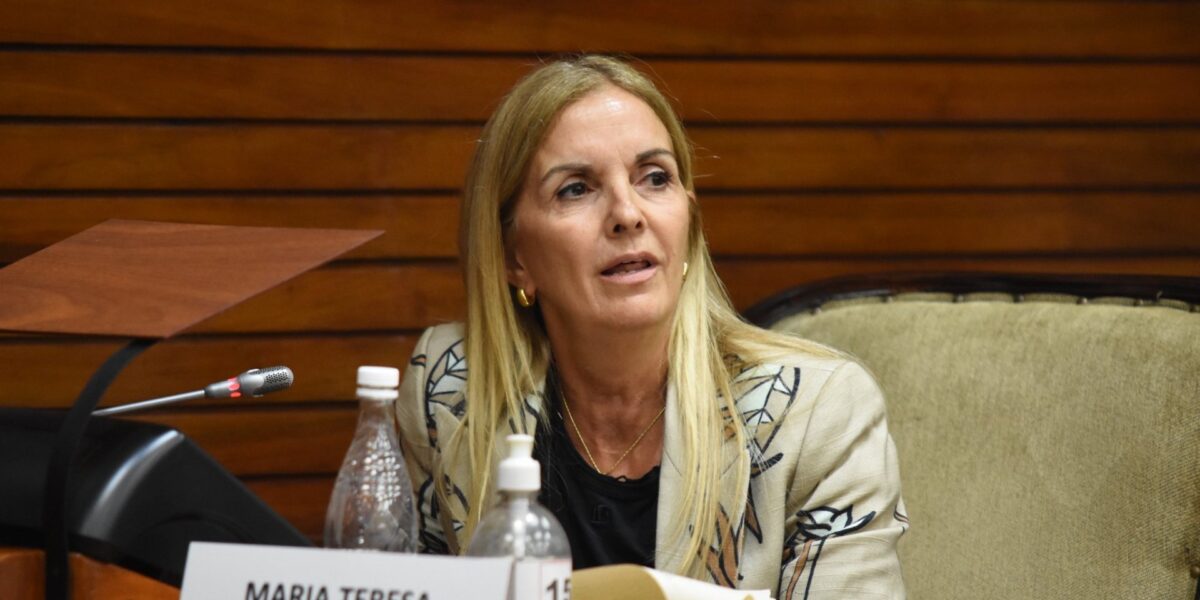 Jujuy aprobó alivio fiscal para pequeños comerciantes afectados por la crisis del consumo