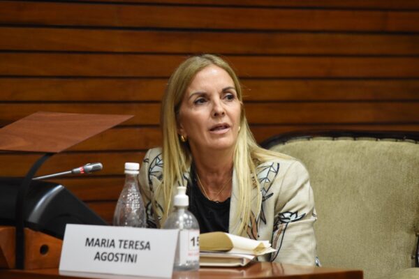 Jujuy aprobó alivio fiscal para pequeños comerciantes afectados por la crisis del consumo