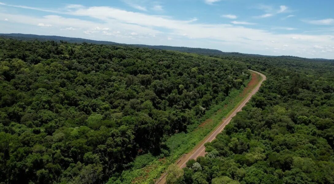 Misiones avanzará con el Bono de Infraestructura y prepara el primer Bono Verde respaldado por créditos de carbono