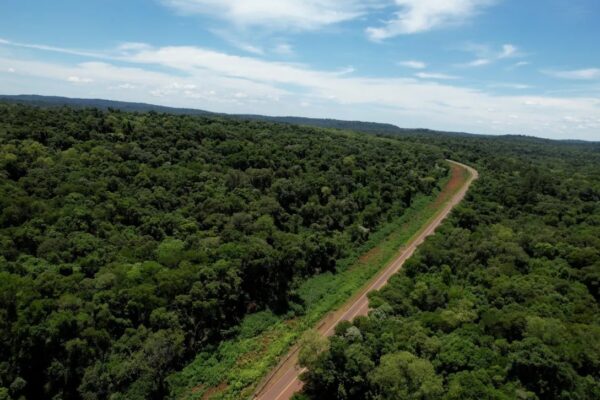 Misiones avanzará con el Bono de Infraestructura y prepara el primer Bono Verde respaldado por créditos de carbono