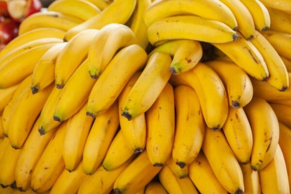 Productores bananeros de Formosa alertan por la eliminación de una barrera fitosanitaria