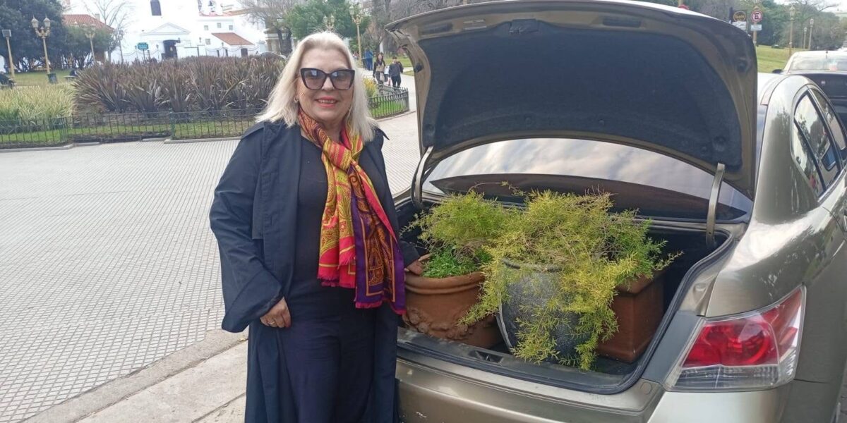Elisa “Lilita” Carrió contó que ”cirujeó” tres macetas de un volquete en Recoleta y su publicación se volvió viral