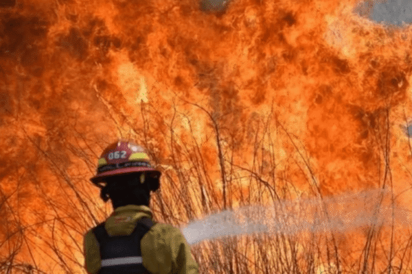 Riesgo extremo de incendios en Corrientes: fuertes vientos ponen en alerta al centro-sur provincial