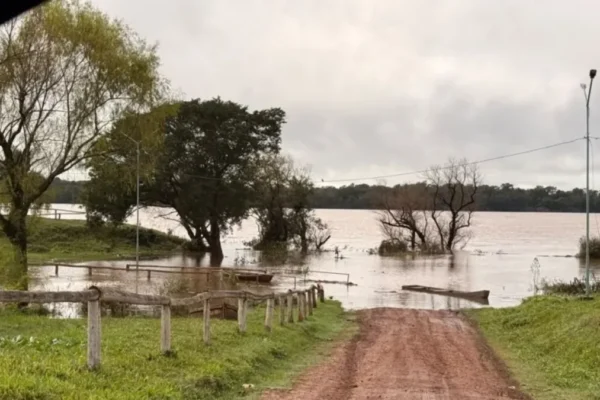 El río Uruguay continúa creciendo en Santo Tomé y podría superar los 11 metros durante el fin de semana