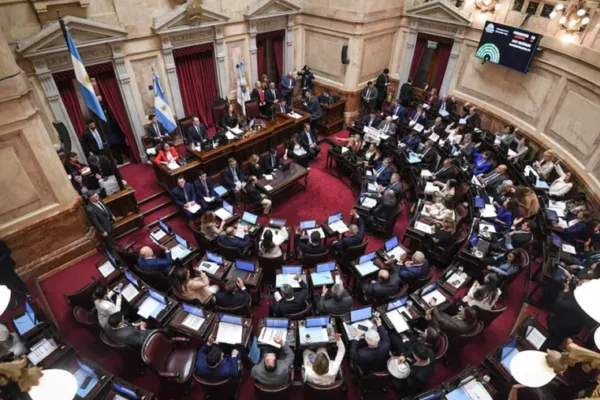 La “Red de Mujeres” exigió a los senadores tres votos negativos de Misiones contra la desregulación de tierras