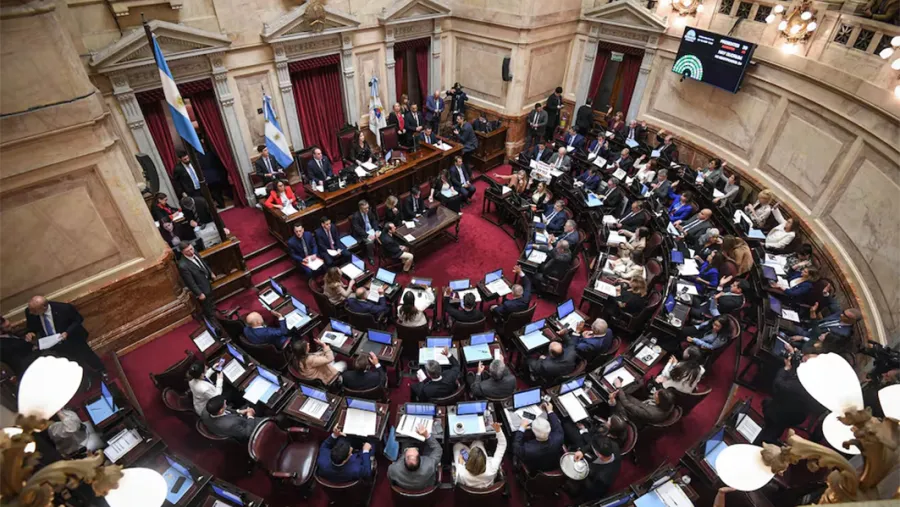 La “Red de Mujeres” exigió a los senadores tres votos negativos de Misiones contra la desregulación de tierras