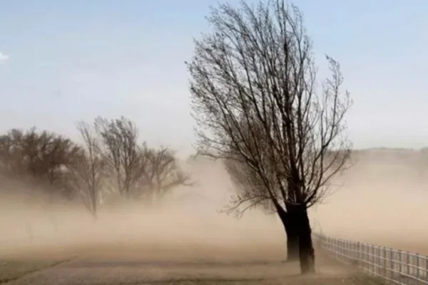 Alerta amarilla por fuertes vientos en Jujuy: las ráfagas podrían alcanzar los 100 km/h