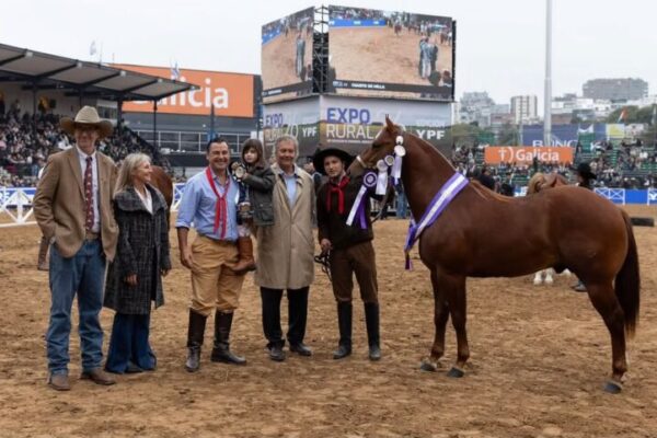Un caballo de Corrientes fue distinguido como Reservado Gran Campeón en la Rural de Palermo