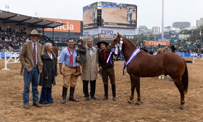 Un caballo de Corrientes fue distinguido como Reservado Gran Campeón en la Rural de Palermo