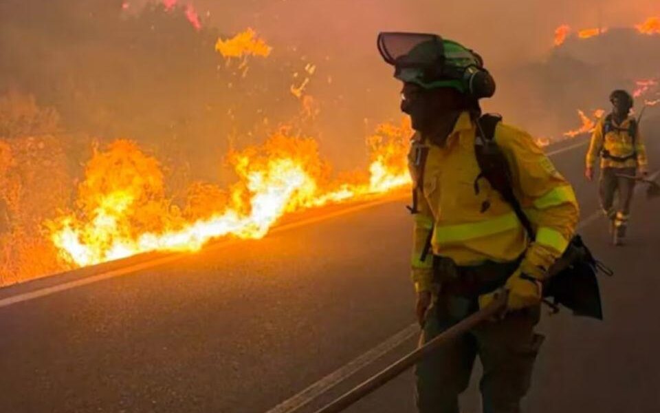 Contuvieron el incendio forestal en Jujuy e investigan si una rama sobre un tendido eléctrico inició el fuego