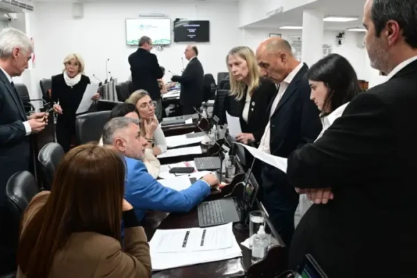 El oficialismo chaqueño pidió una sesión extraordinaria para suspender las PASO