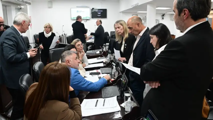 El oficialismo chaqueño pidió una sesión extraordinaria para suspender las PASO