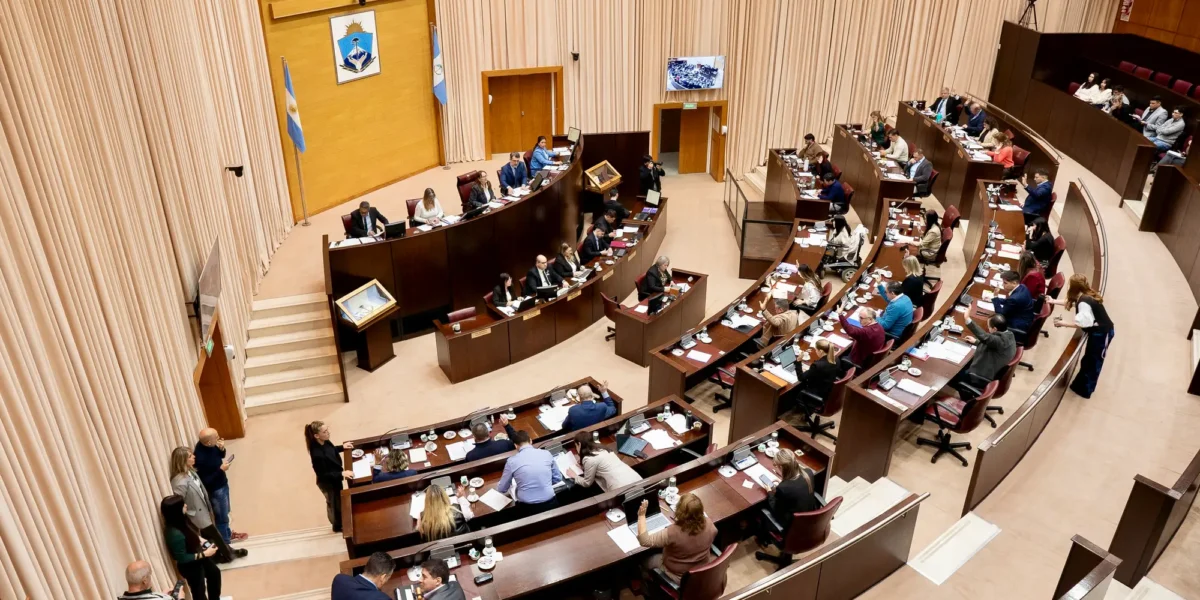 Neuquén aprobó controles toxicológicos sorpresivos y obligatorios para sus 35 diputados