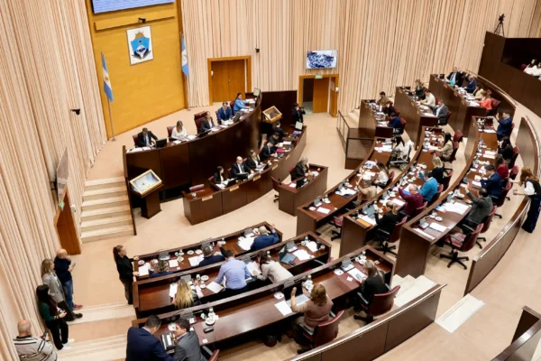 Neuquén aprobó controles toxicológicos sorpresivos y obligatorios para sus 35 diputados