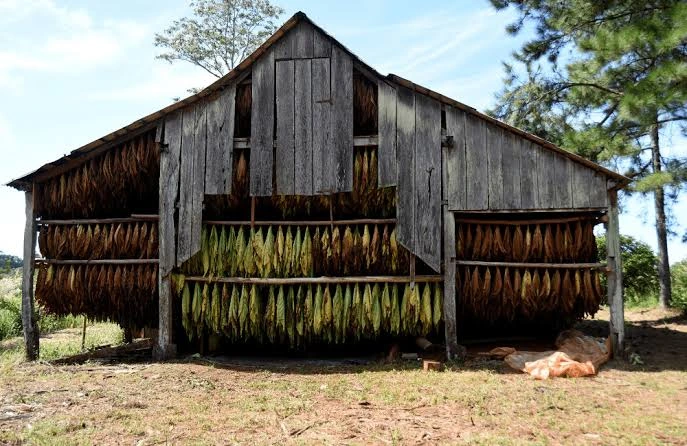 Intimaron a dos empresas tabacaleras de Misiones por presuntas deudas con el FET