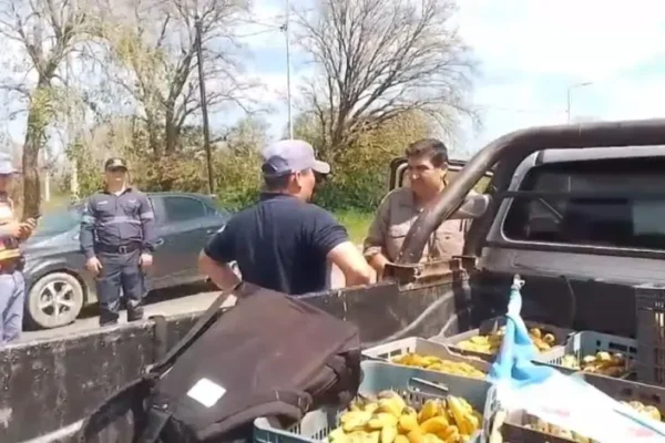 La Federación Agraria suspendió el reparto de 5.000 kilos de banana tras abrir un diálogo con el Gobierno
