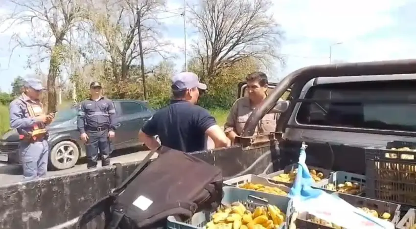 La Federación Agraria suspendió el reparto de 5.000 kilos de banana tras abrir un diálogo con el Gobierno
