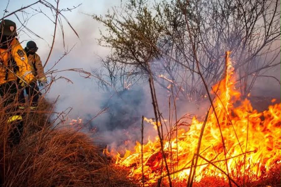 La Rioja prohibió el uso del fuego en toda la provincia por el riesgo de incendios forestales