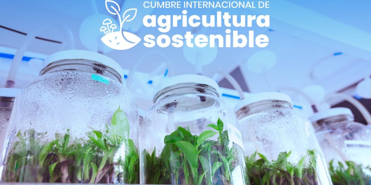 Argentina, Paraguay, Brasil y Cuba participan de una cumbre sobre agricultura sostenible en Misiones