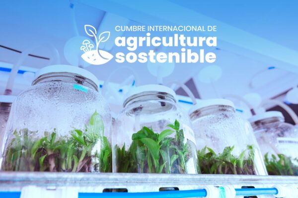 Argentina, Paraguay, Brasil y Cuba participan de una cumbre sobre agricultura sostenible en Misiones