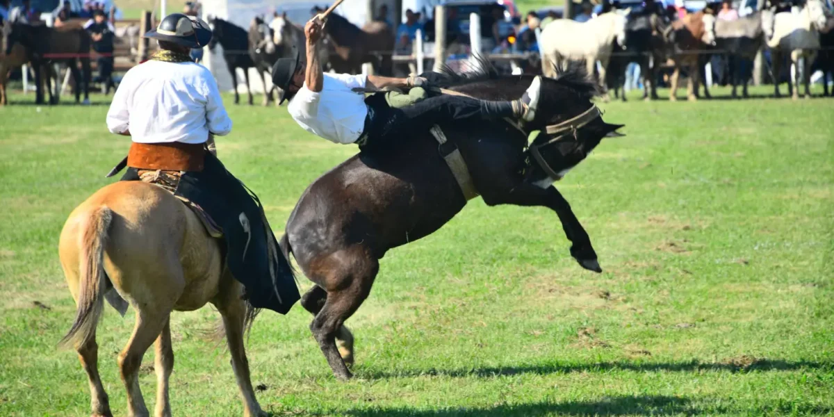 Laguna Blanca cerró la Fiesta Nacional del Pomelo con doma, jineteada y una multitudinaria jornada familiar