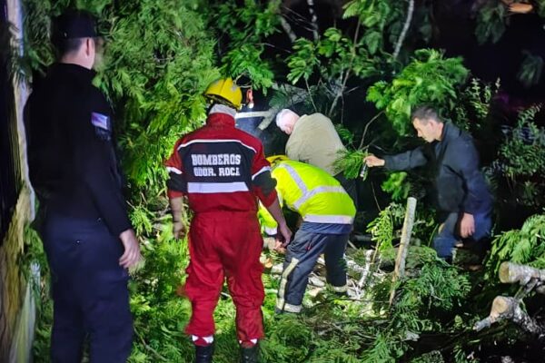 Fuerte temporal en Misiones: 40 viviendas dañadas y tres puentes cortados por las lluvias y crecidas