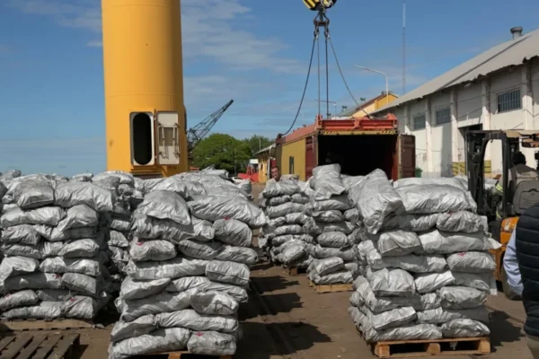 Chaco exportará 24 toneladas de carbón vegetal a través del Puerto Barranqueras