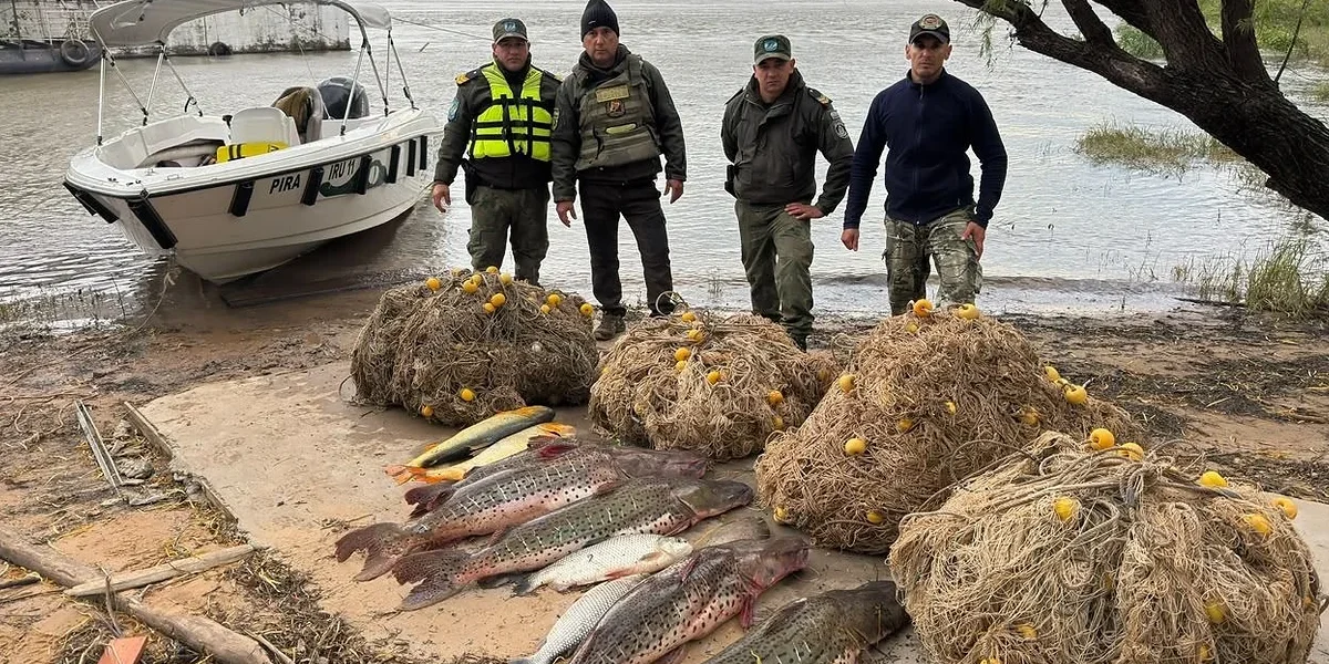 Corrientes: decomisaron ocho pescados y cinco mallones por incumplimientos a la veda