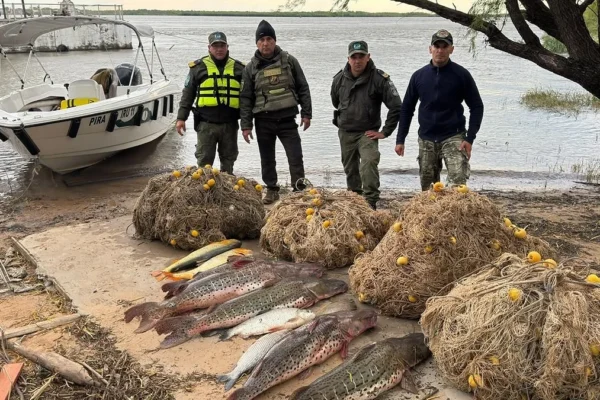 Corrientes: decomisaron ocho pescados y cinco mallones por incumplimientos a la veda